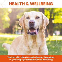 Load image into Gallery viewer, Vetzyme Dog Conditioning Tablets (3000 Tablets)
