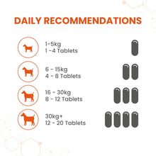 Load image into Gallery viewer, Vetzyme Dog Conditioning Tablets (3000 Tablets)
