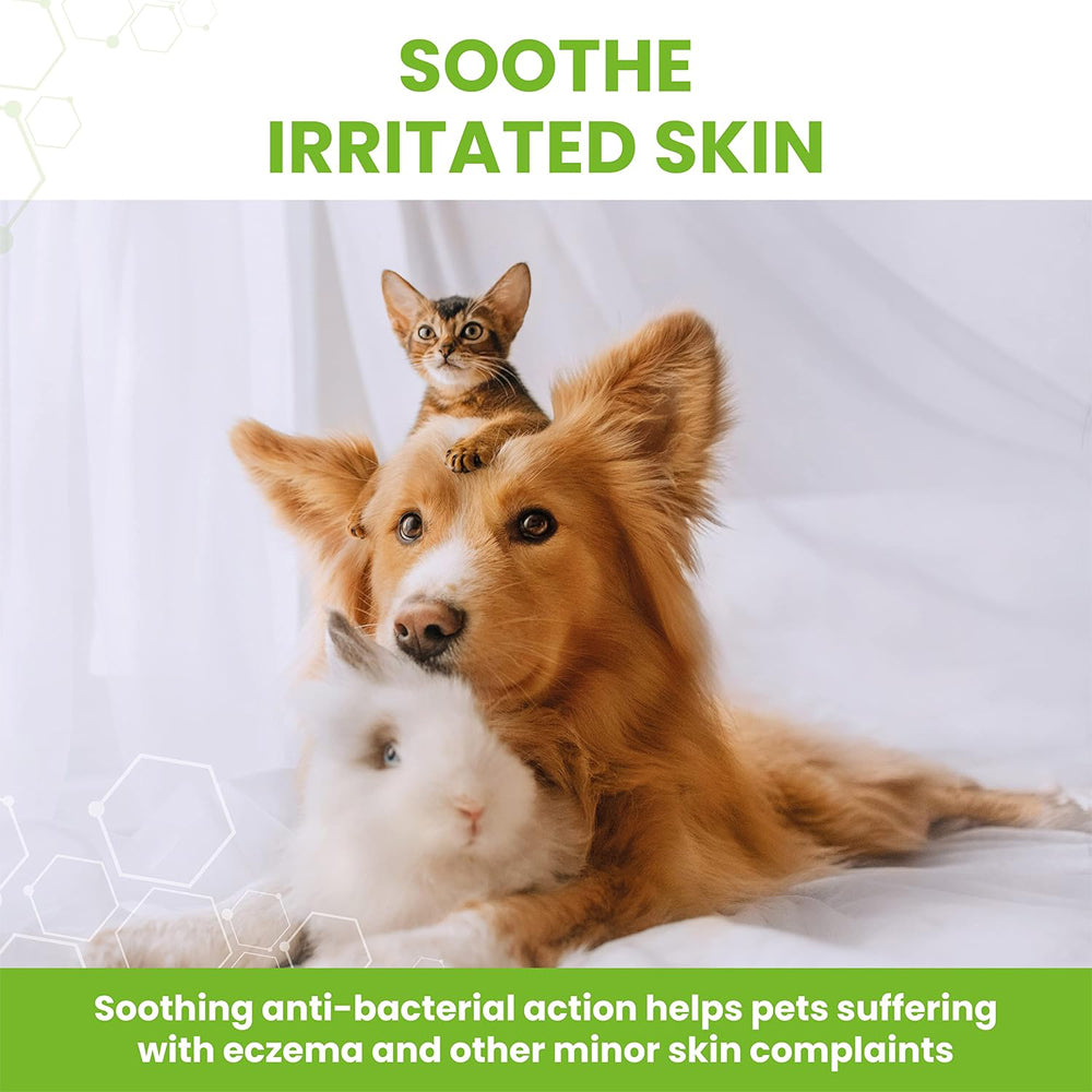 Vetzyme Antibacterial Powder for Dogs, Cats & Small Animals