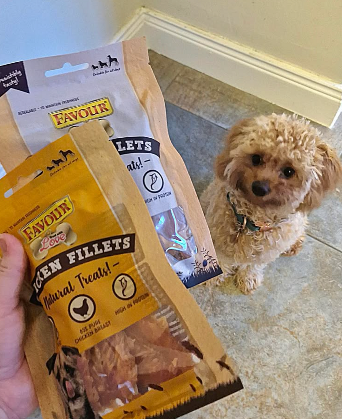 Favour Pet Foods