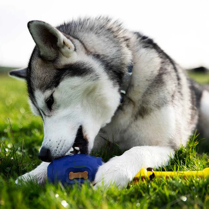 K9Connectables Dog Toys - Tuff Stuffer