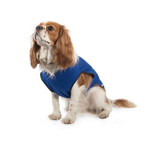 Ancol Dog Cooling Coat