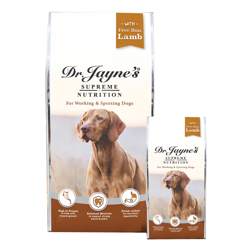 Dog dr hot sale